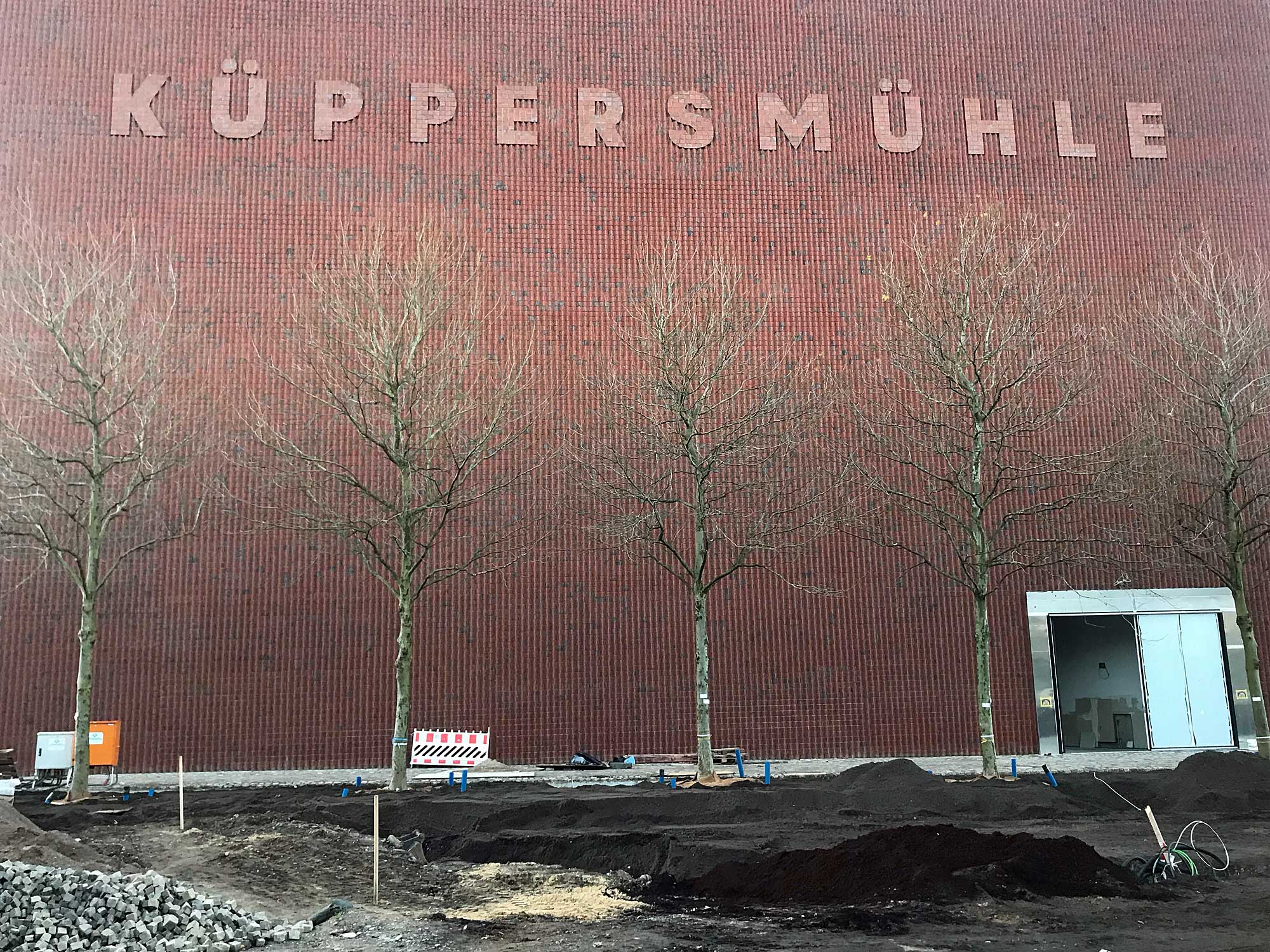 Platanen am Museum Küppersmühle