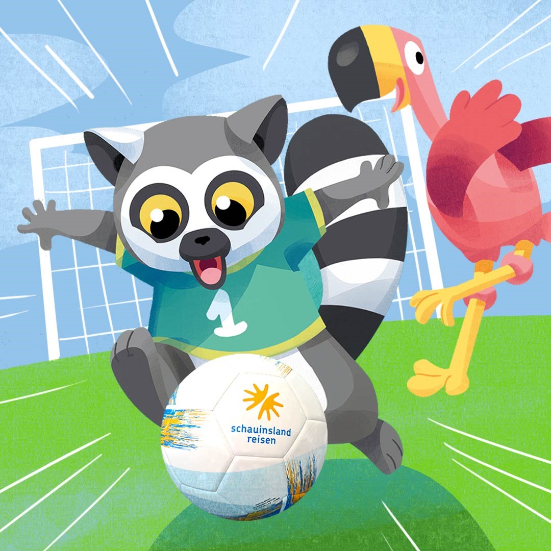 5000 Fussbälle von Schauinsland