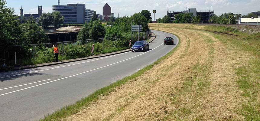 Schifferstraße 2016