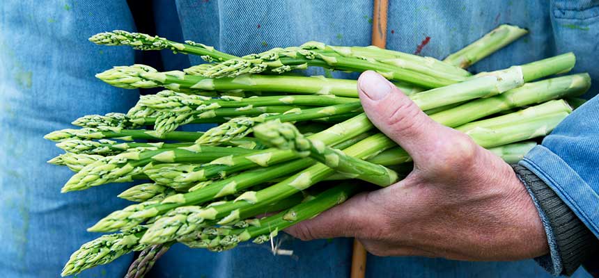 Spargelzeit im Vapiano