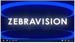 ZebraVision