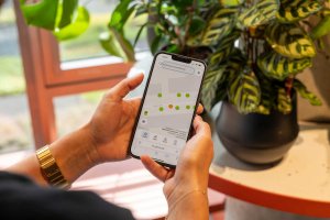 DU giesst Onlineplattform